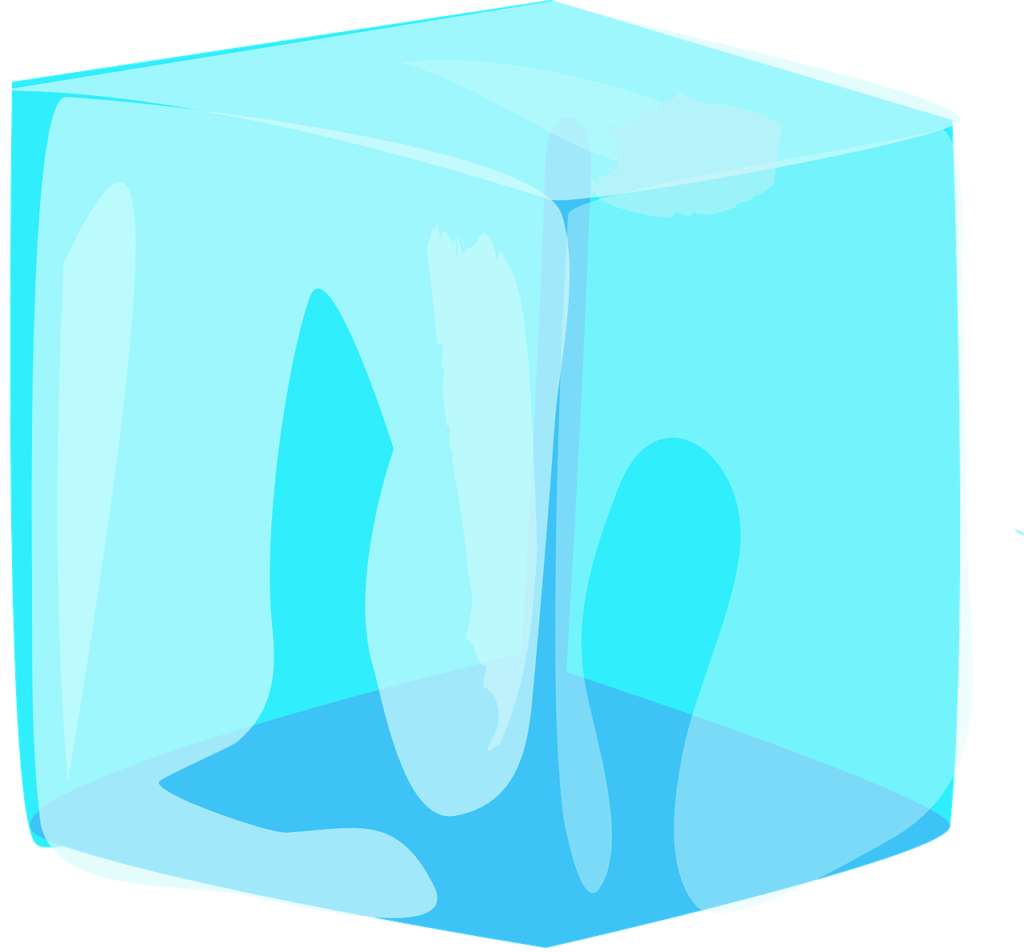 Is A Separate Ice Maker Worth It?