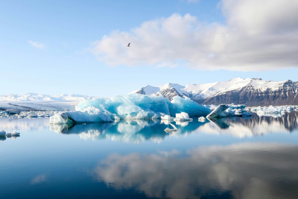 What Is The Best Type Of Ice From The Ice Maker?