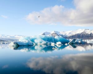 What Is The Best Type Of Ice From The Ice Maker?